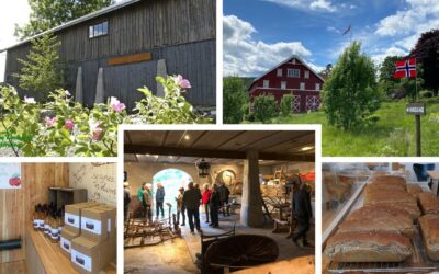 Åpen dag på Bygdemuseet og Skjeldrumsaga i Skoger